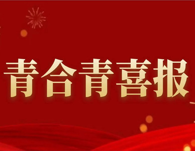 青合青喜报 I 安徽青合青律师事务所荣获“合肥市司法行政系统表现突出集体”称号