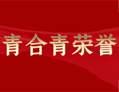 青合青荣誉丨青合青执行主任胡红玲同志荣获“2017-2023年度安徽省优秀律师”、“第六届安徽省十佳律师”